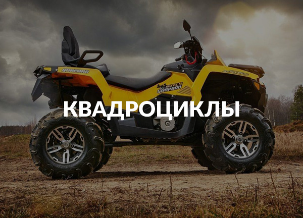 Квадроциклы